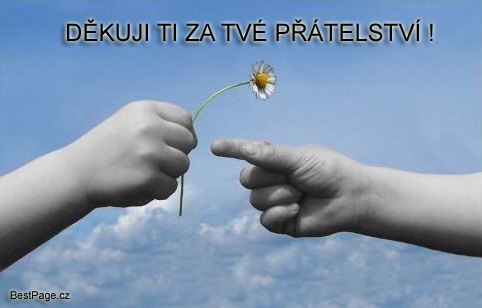 přátelství9